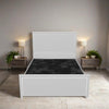 Ariana Borcelle Luxe Upholstered Bed Frame with Elegant Piping Detail – Modern Velvet Design & Sturdy Frame