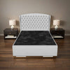 Winchester Upholstered Bed Frame Stylish and Durable with a Plush Headboard