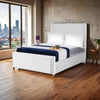 Ariana Borcelle Luxe Upholstered Bed Frame with Elegant Piping Detail – Modern Velvet Design & Sturdy Frame