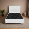 Clara Sunset Upholstered Bed Frame | Plush Velvet Wingback Headboard & Sturdy Base